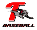 Tavares High School Baseball